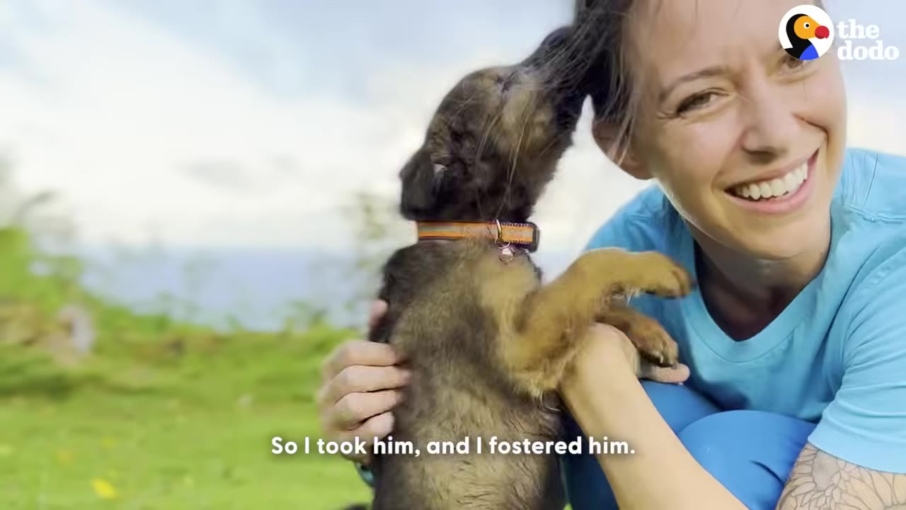 A smiling woman in a blue shirt holds a small brown puppy who is playfully nuzzling her hair.