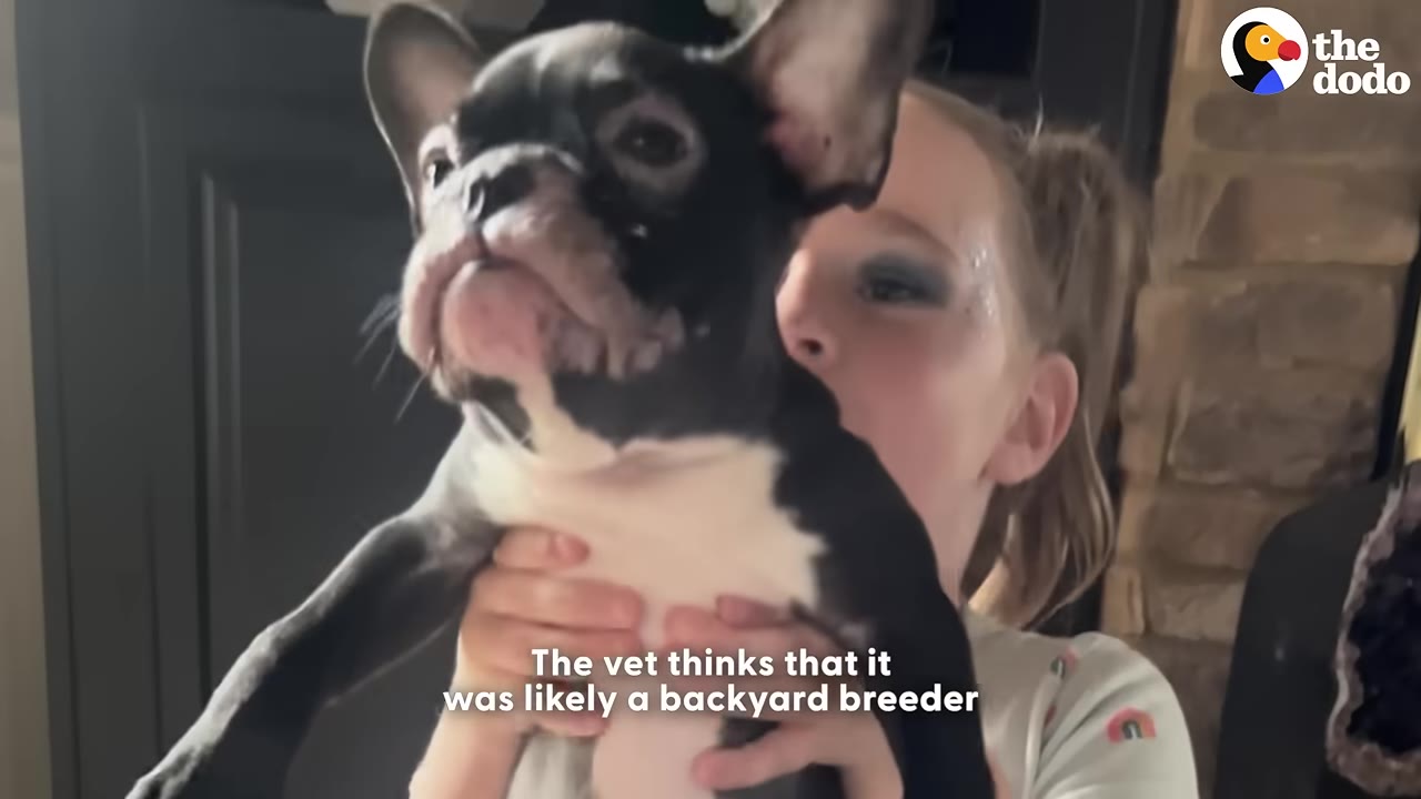 A young girl holding a black and white French Bulldog puppy with visible hair loss around its eyes and muzzle.