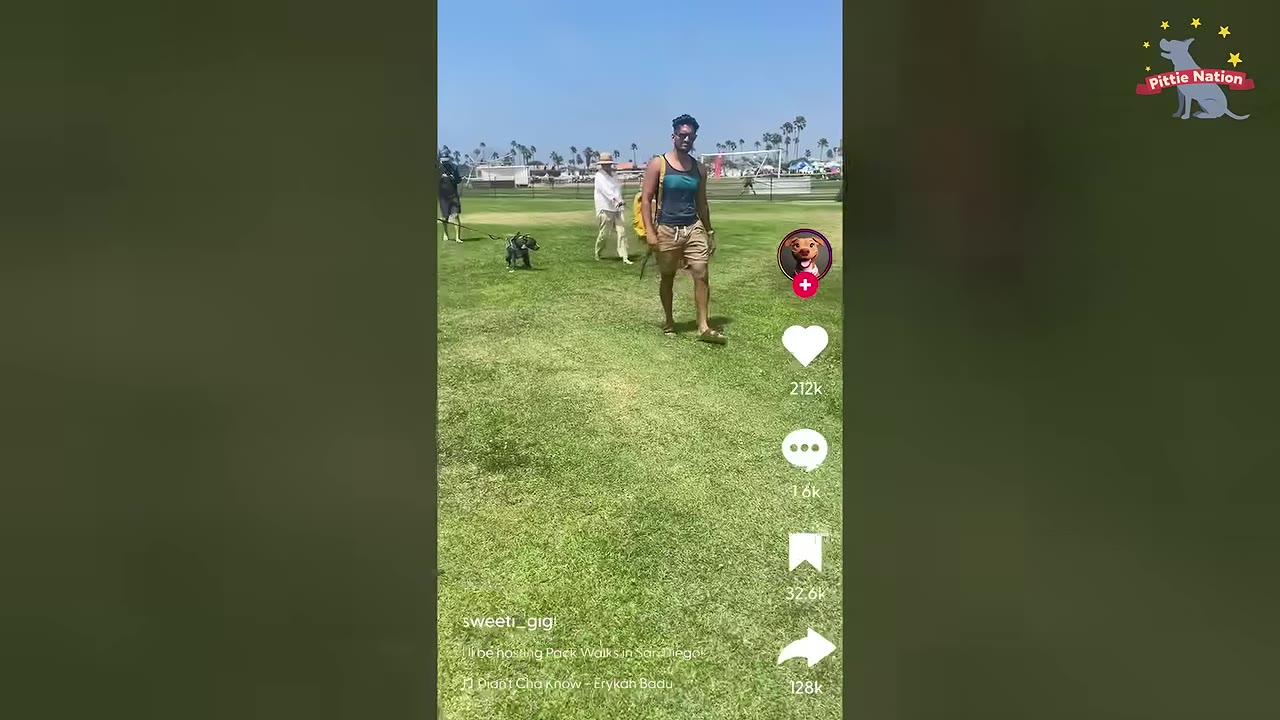 A screenshot of a social media video showing a man walking a dog on a grassy field, with social media interaction icons overlaid on the right side.