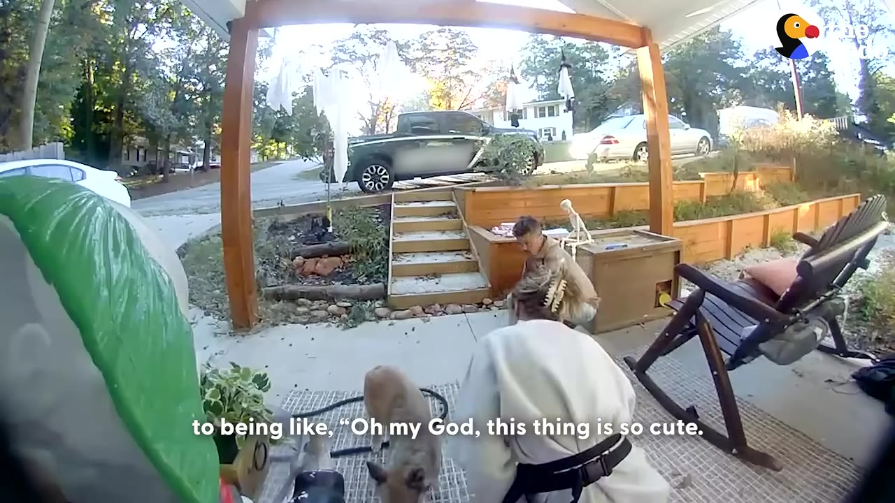 A woman in a white sweatshirt kneels on a porch next to a small brown dog, with text on screen reading 'to being like, "Oh my God, this thing is so cute.'"