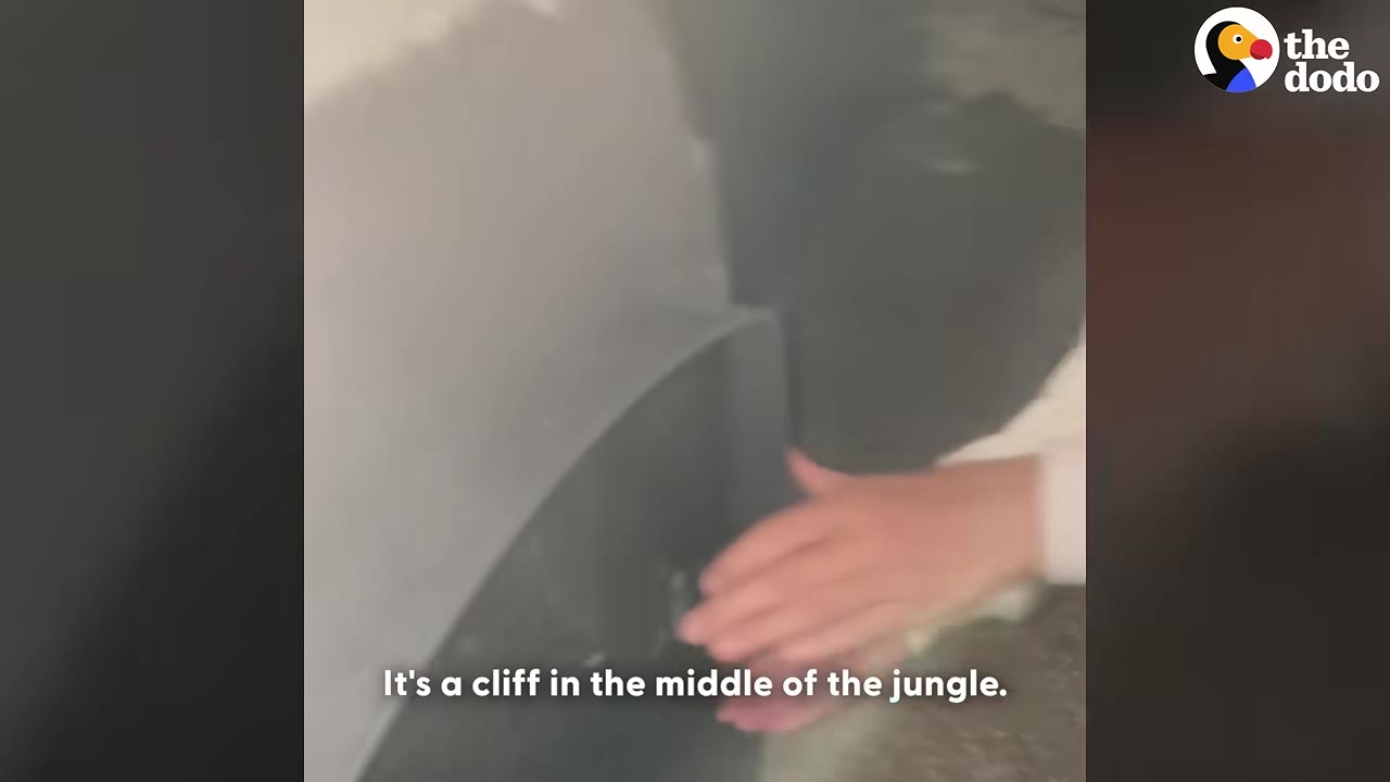 A hand gesturing towards a dark, rocky cliffside with the caption 'It's a cliff in the middle of the jungle.'