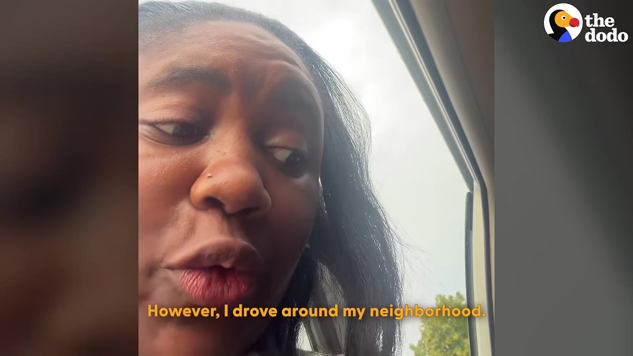 A close-up of a woman looking out of a car window with the subtitle 'However, I drove around my neighborhood.'