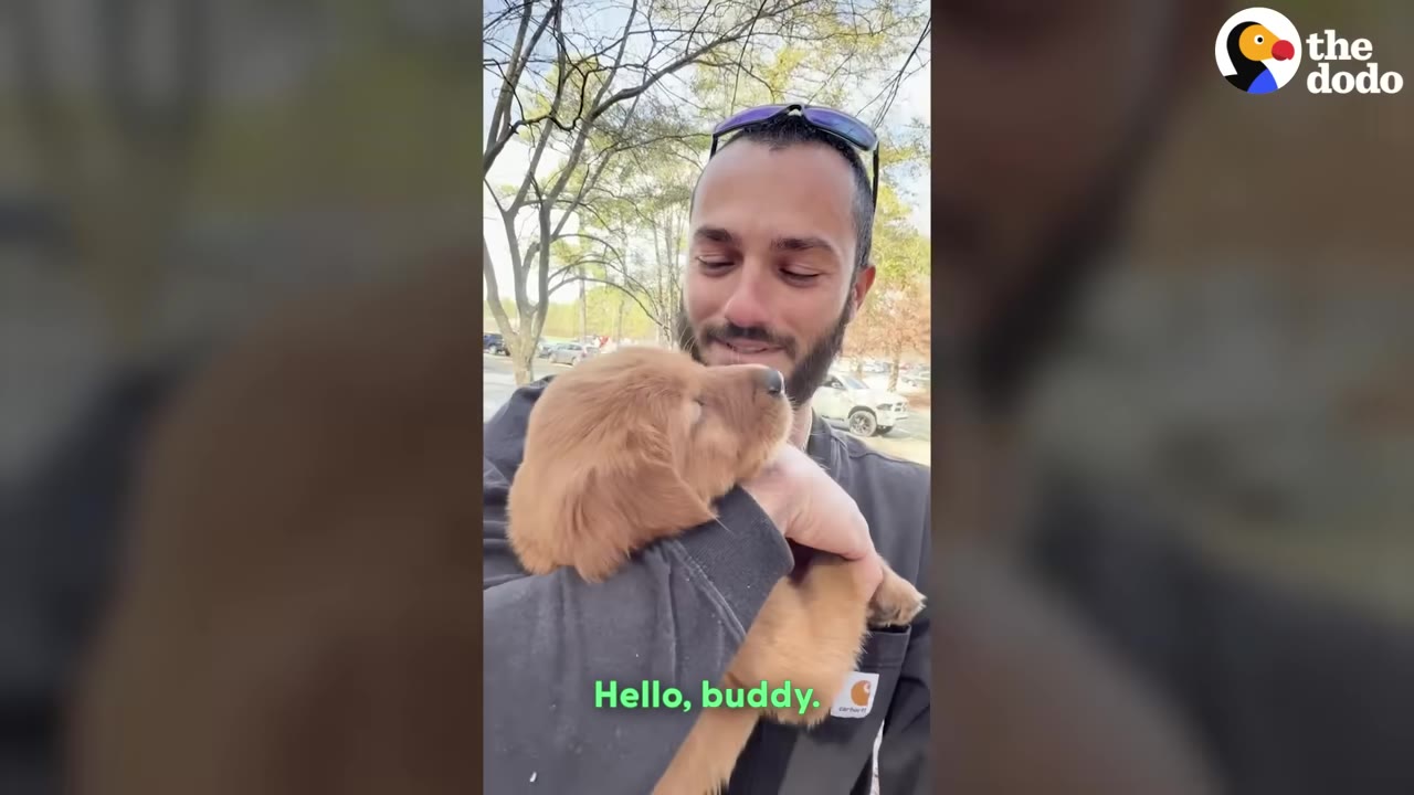 A man with a beard and sunglasses on his head holds a small golden puppy close to his chest outdoors.