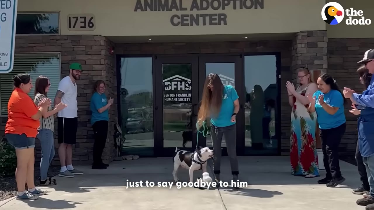 A black and white dog on a leash is led out of the Benton Franklin Humane Society Animal Adoption Center by a shelter worker, while a group of people line up outside to clap and say goodbye.