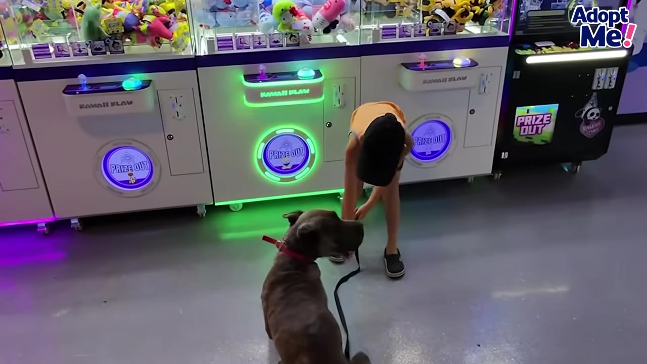 A brindle dog on a leash stands next to a young boy in an orange tank top and black cap in front of colorful claw machine games.