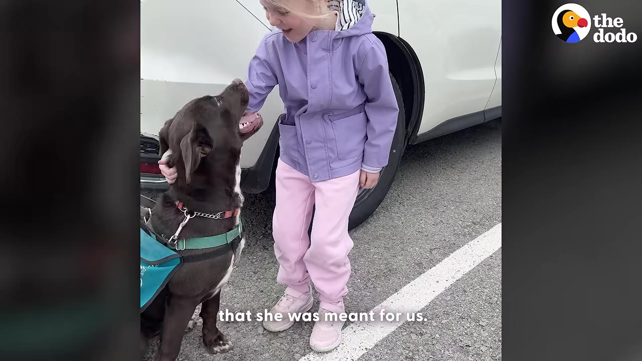 A young girl in a purple jacket and pink pants smiles as she pets a dark brown dog under its chin in a parking lot.