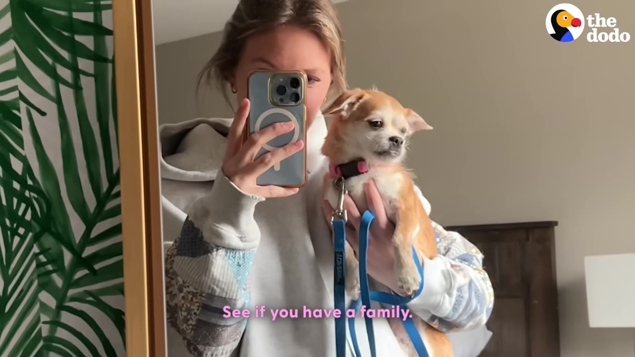 A young woman takes a mirror selfie while holding a small tan and white Chihuahua wearing a pink collar and a blue leash, with the caption 'See if you have a family' on the screen.