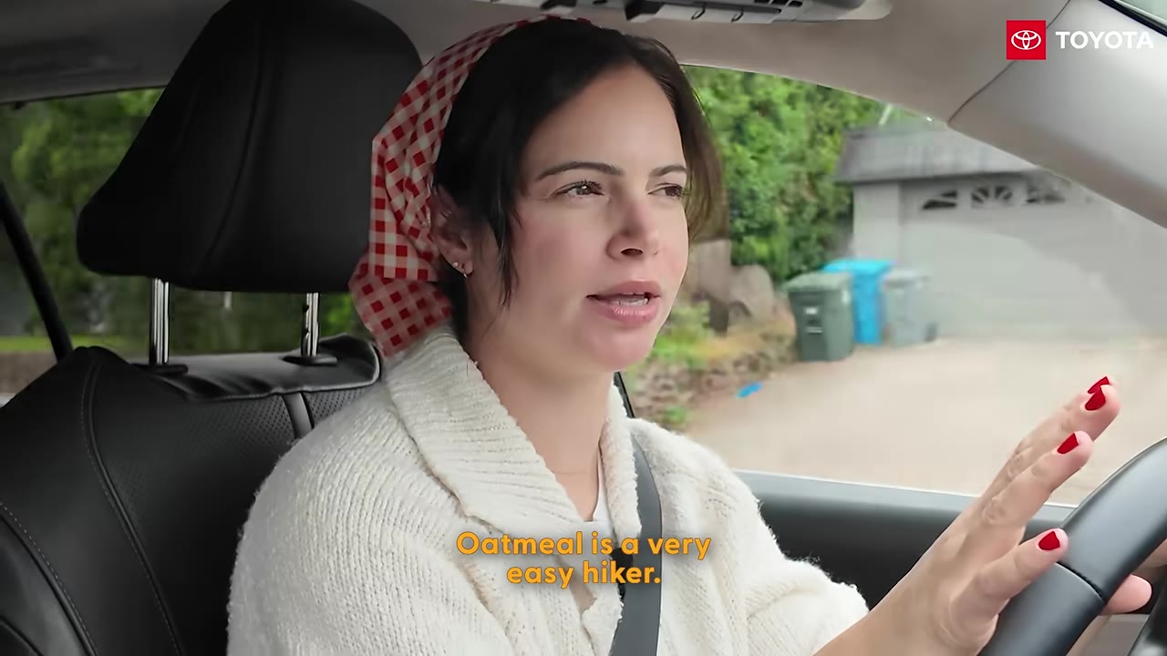 A woman with a red and white checkered headscarf driving a car, with subtitles reading 'Oatmeal is a very easy hiker.'