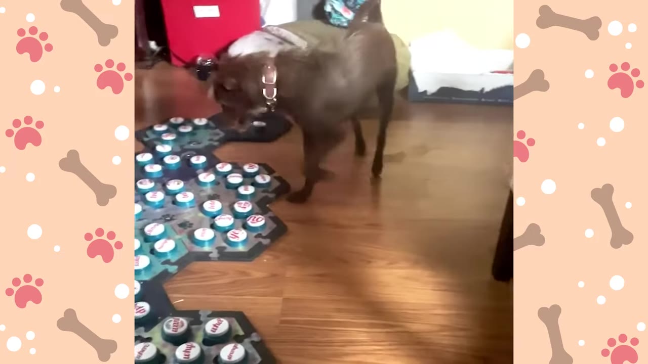A small brown dog stands on a wooden floor next to a large mat covered in blue and white recordable sound buttons.