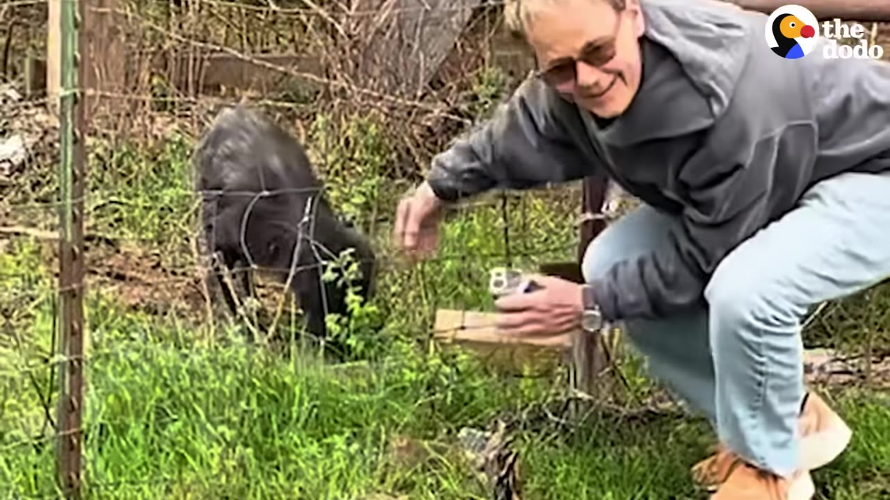 A person in a grey hoodie and glasses crouches down next to a wire fence, smiling and reaching out a hand toward a dark-colored dog on the other side of the fence.