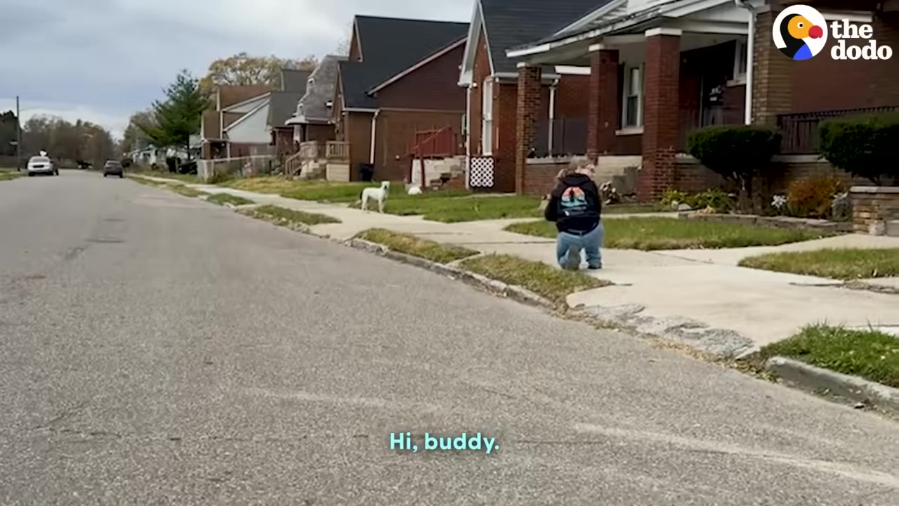A person kneels on a residential sidewalk, gently calling out to a white dog standing further down the street near some houses.