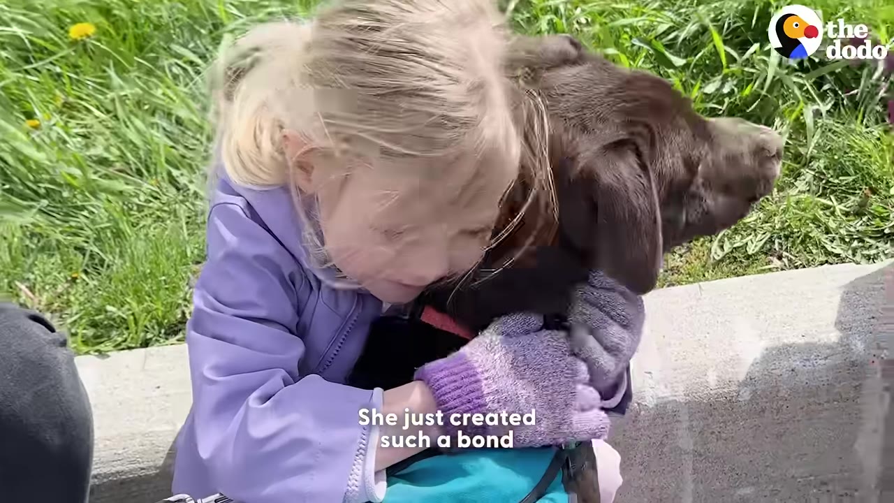 A young blonde girl in a purple jacket hugs a brown dog outdoors on a sunny day.