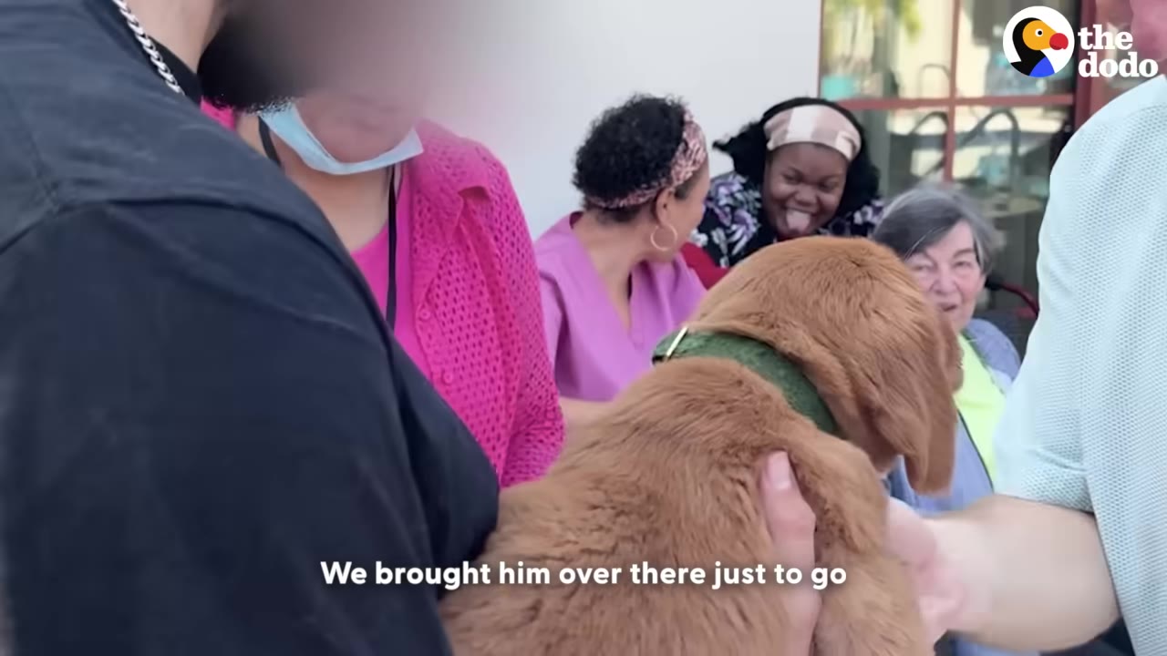 A golden puppy is held by a person in a black shirt, facing a group of smiling seniors and staff members in the background.