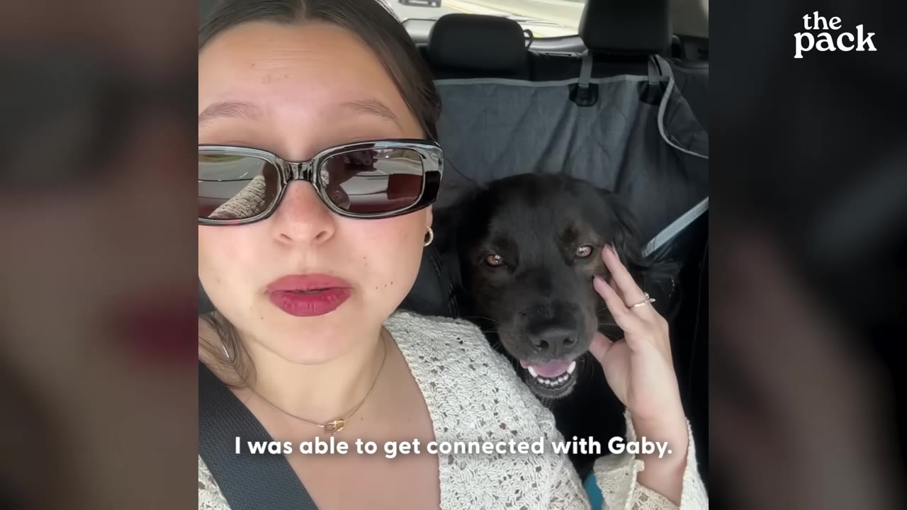 A woman wearing sunglasses and a white knit top sits in a car next to a black dog, gently petting its head as it smiles.