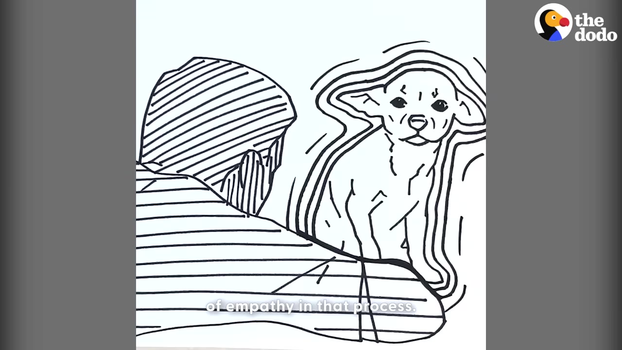 A black and white line drawing of a man looking at a small, trembling dog with wide eyes.