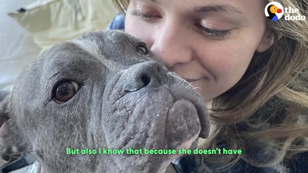 A close-up of a grey pit bull looking up affectionately as a woman smiles and presses her face against the dog's head.