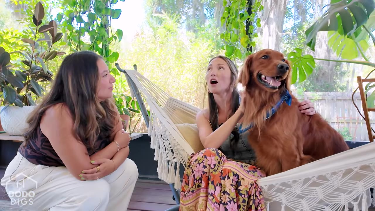 Two women and a golden retriever wearing a blue bandana sit together on a white hammock on a plant-filled outdoor patio.