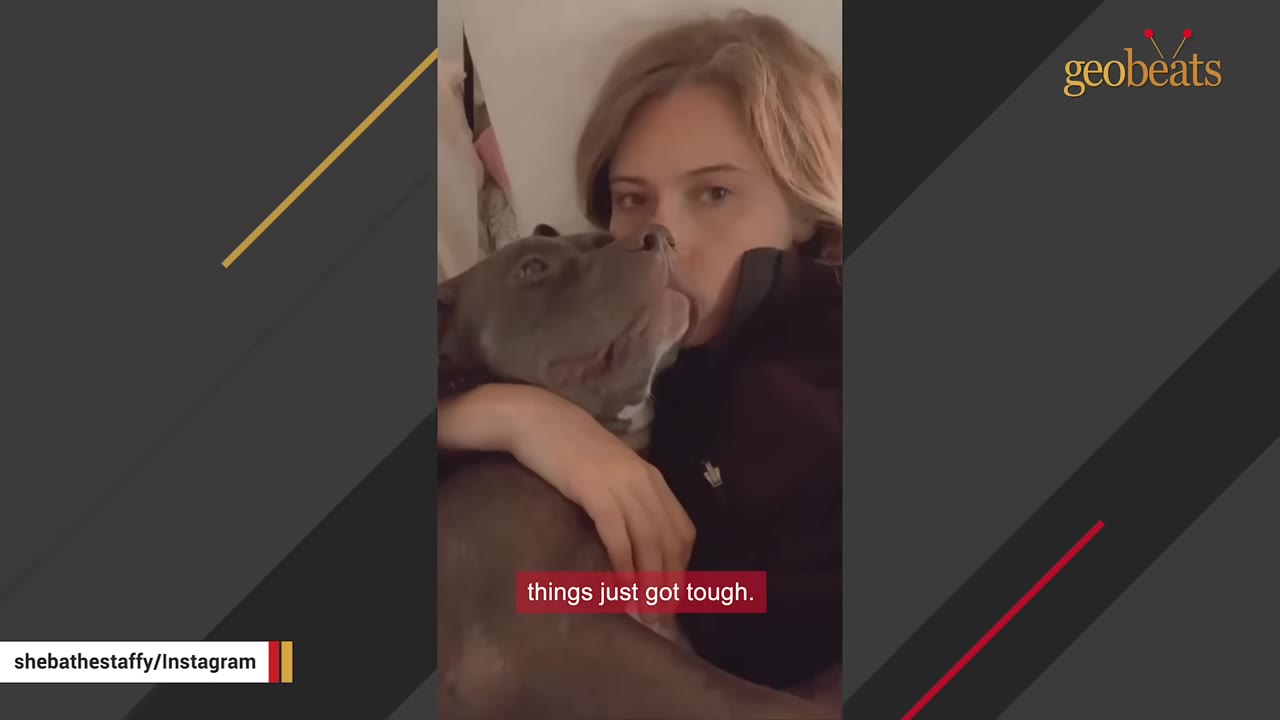 A woman with blonde hair lies down, hugging a grey pit bull-type dog close to her chest.