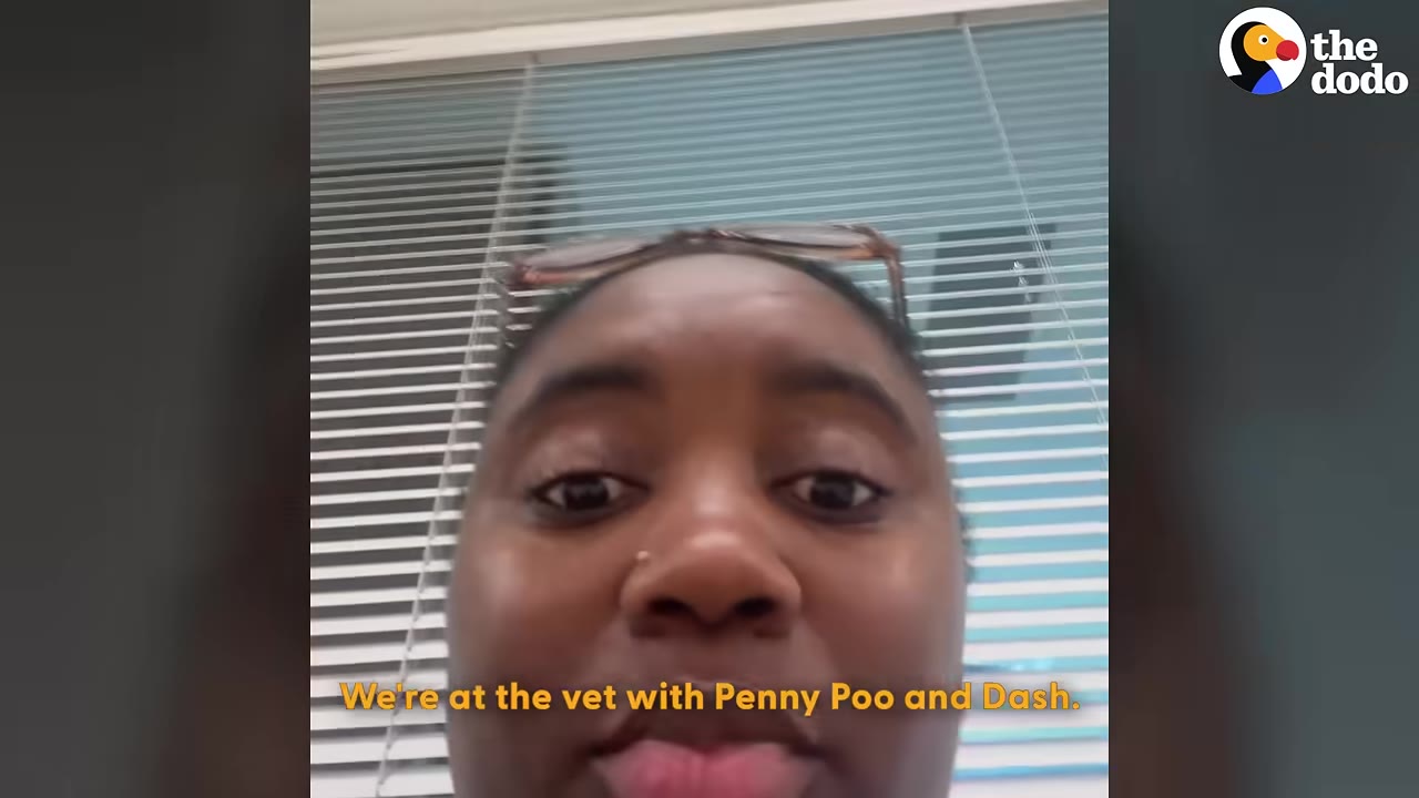 A close-up of a woman speaking to the camera with blinds in the background and a caption that reads, 'We're at the vet with Penny Poo and Dash.'