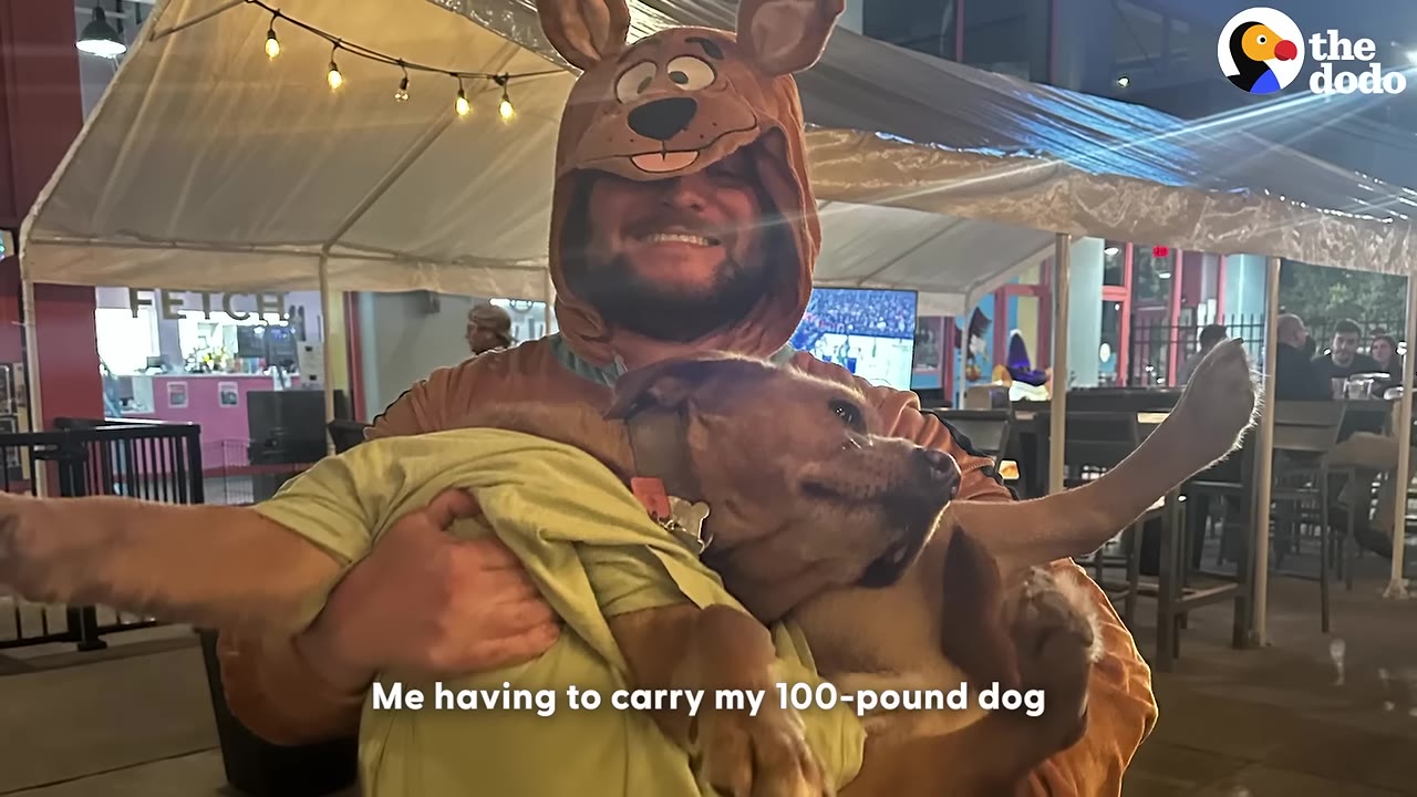 A smiling man wearing a Scooby-Doo costume hood holds a large brown dog in his arms outdoors at night.