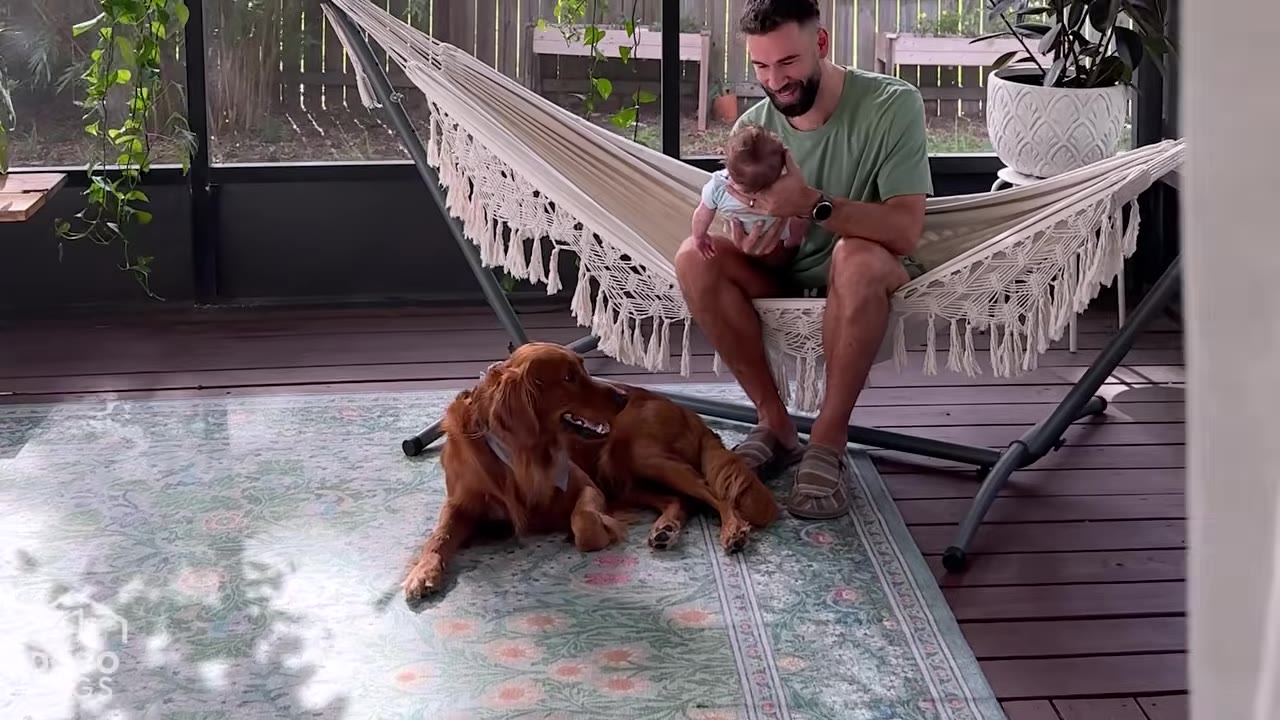 A man sits in a fringed hammock holding a baby while a golden retriever lies on a patterned rug nearby.