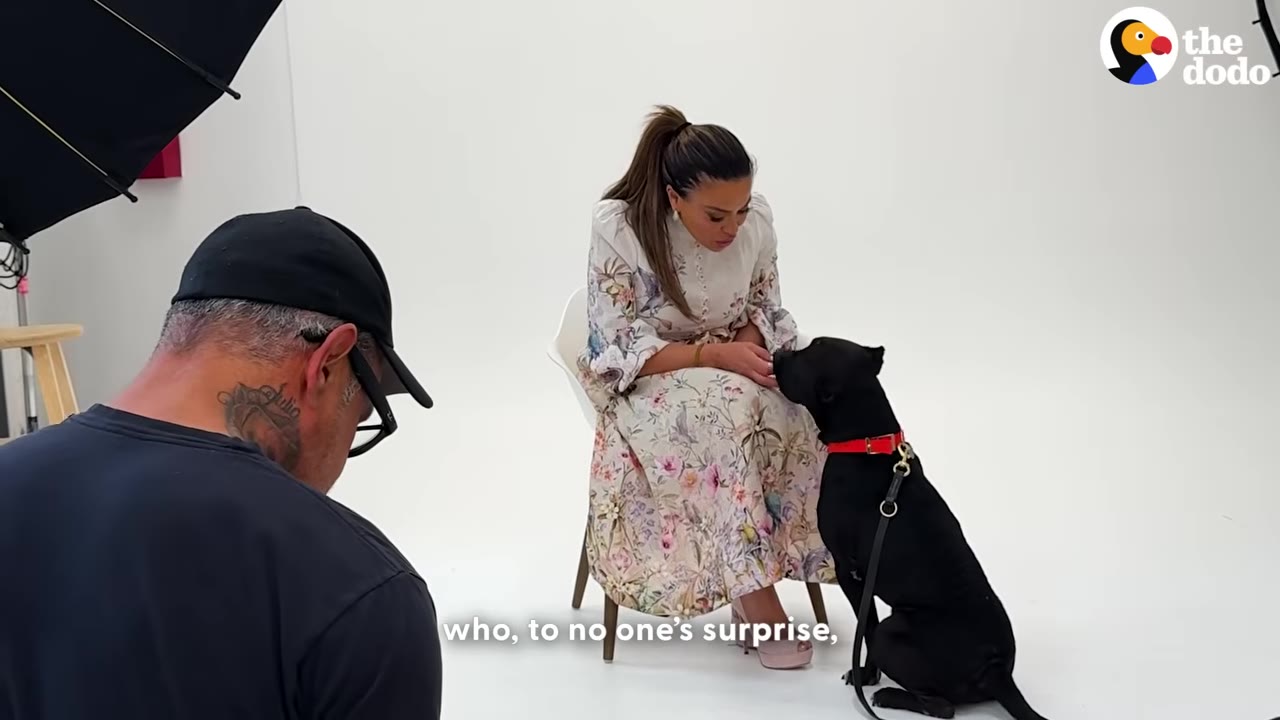 Dolores Catania, wearing a floral dress, sits on a chair in a white photo studio interacting with a black dog on a leash, while a photographer in a black cap is seen from behind in the foreground.