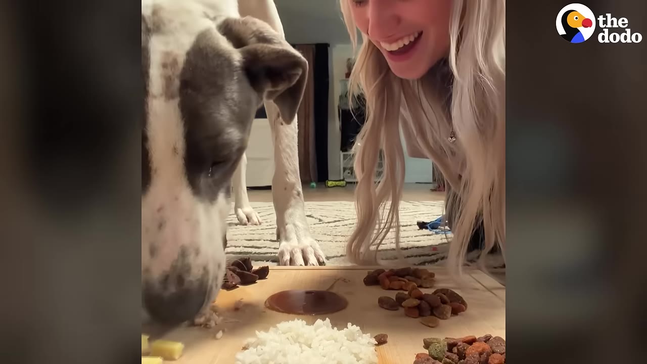 A smiling blonde woman looks down lovingly at a large grey and white dog eating food from a wooden board on the floor.
