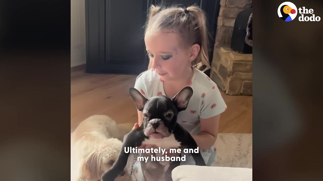 A young girl with her hair in pigtails gently holds a small black French bulldog puppy in her lap.