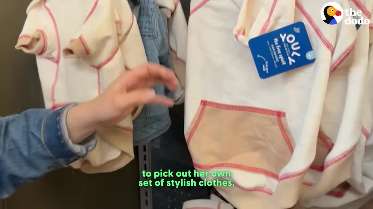 A hand reaches out to browse dog clothes hanging on a rack in a store.