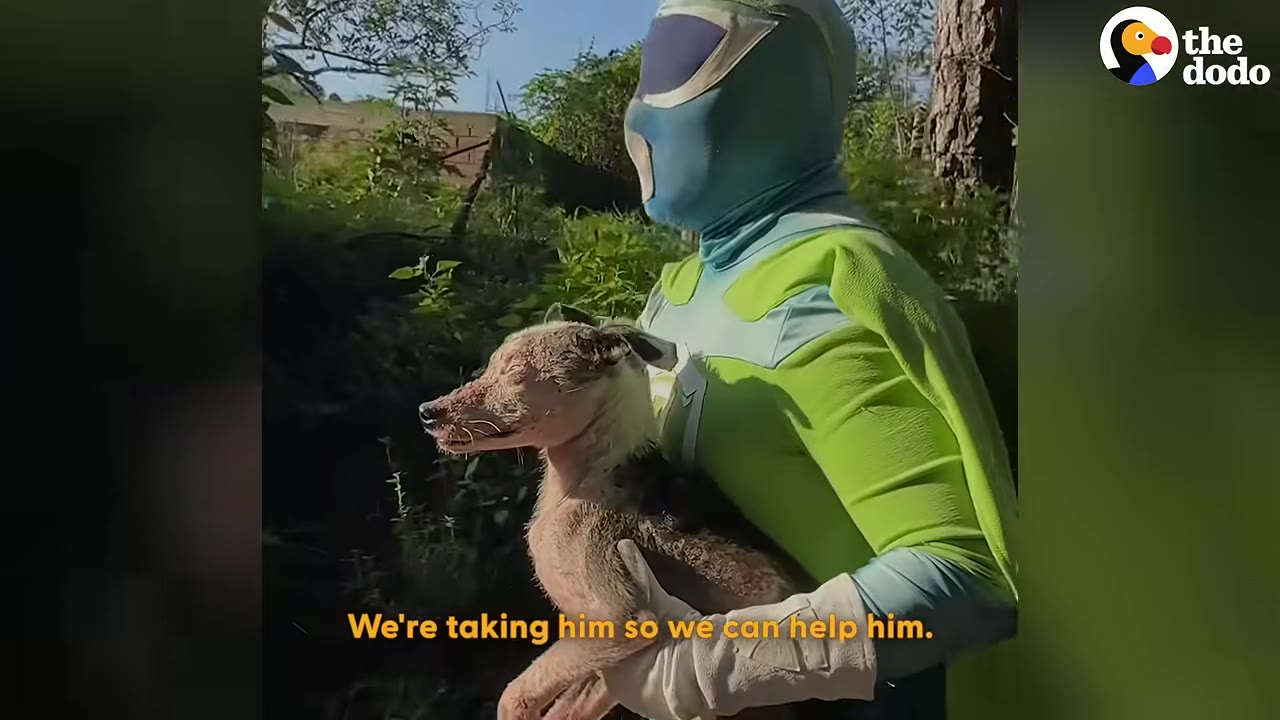 A person in a green and blue superhero costume carrying a small, muddy dog in their arms outdoors.