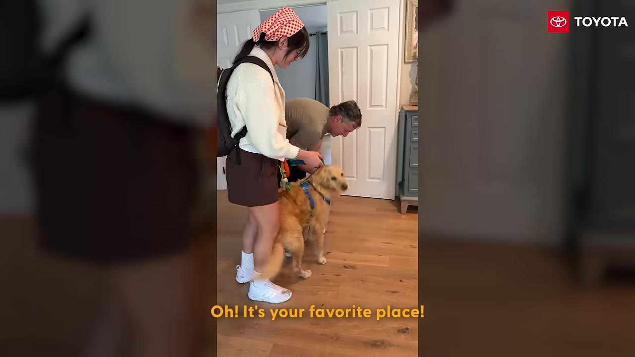 A golden retriever on a leash stands inside a house with a woman wearing a white sweater and a man leaning down to greet the dog.