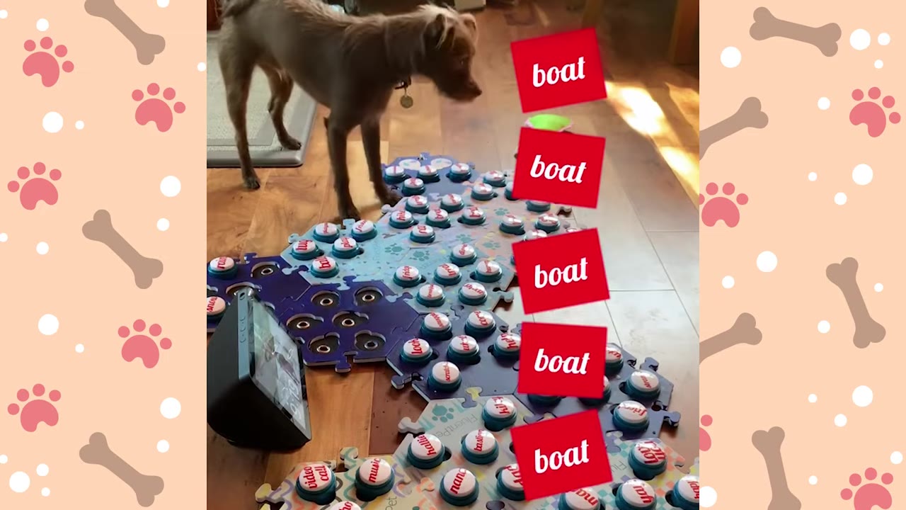 A small brown dog stands on a wooden floor next to a large, puzzle-piece shaped soundboard with many recordable buttons, with red graphic overlays that say 'boat' repeated vertically.