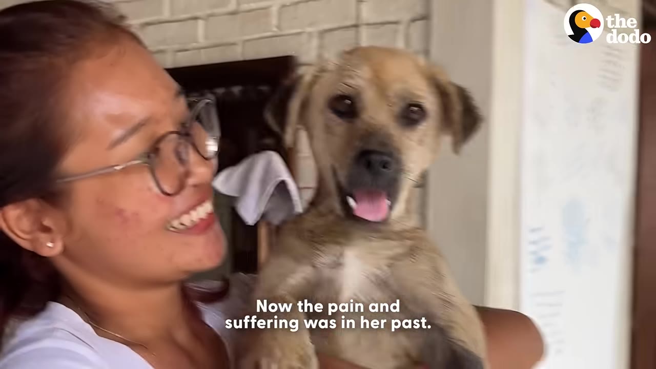 A happy, light brown dog with its mouth open and tongue out is held by a smiling woman wearing glasses.