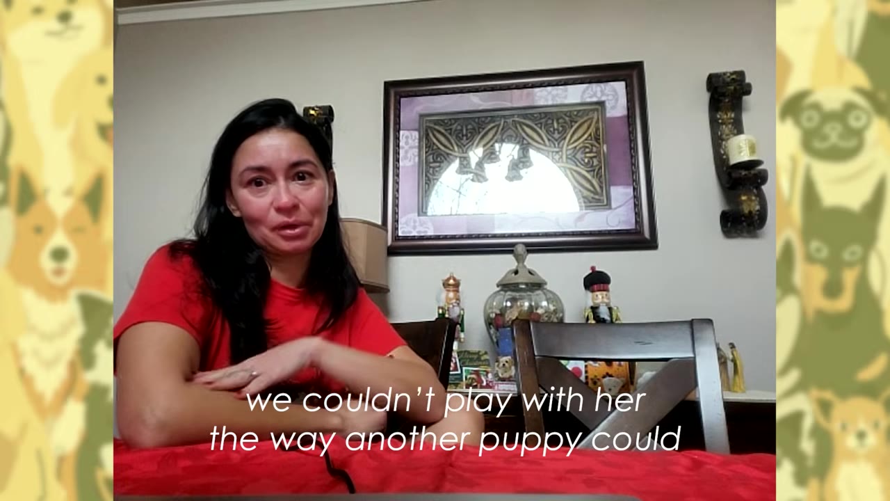 A woman in a red shirt sits at a table speaking to the camera, with a subtitle that reads 'we couldn't play with her the way another puppy could'.