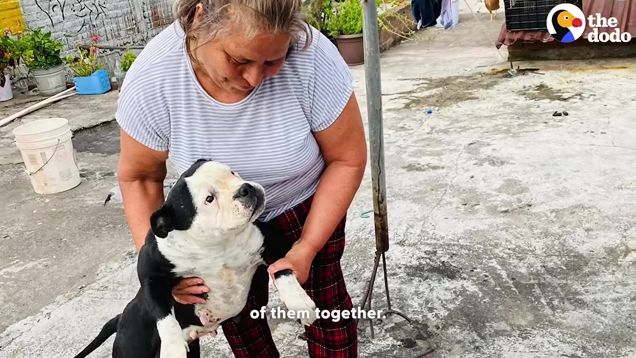 A woman in a striped shirt and plaid pants holds a black and white dog in her arms outdoors.