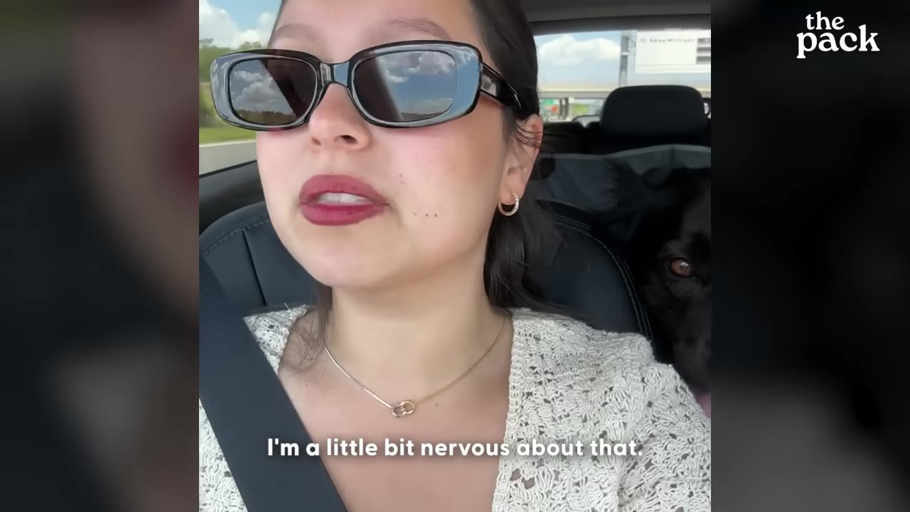 A woman wearing sunglasses and a white knit top sits in a car with a black dog behind her, with a subtitle that reads 'I'm a little bit nervous about that.'