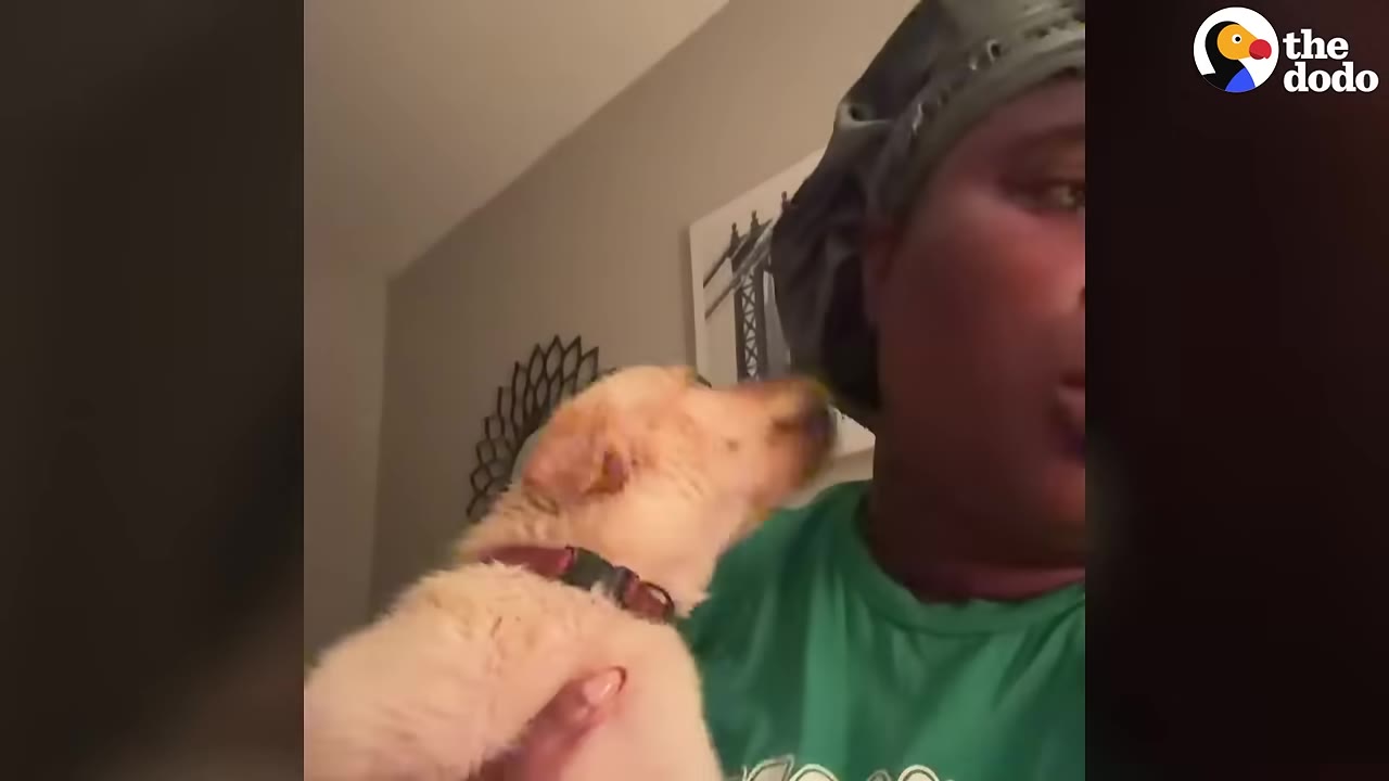 A woman wearing a grey hair bonnet and a green shirt holds a small light-colored puppy in her arms at night.