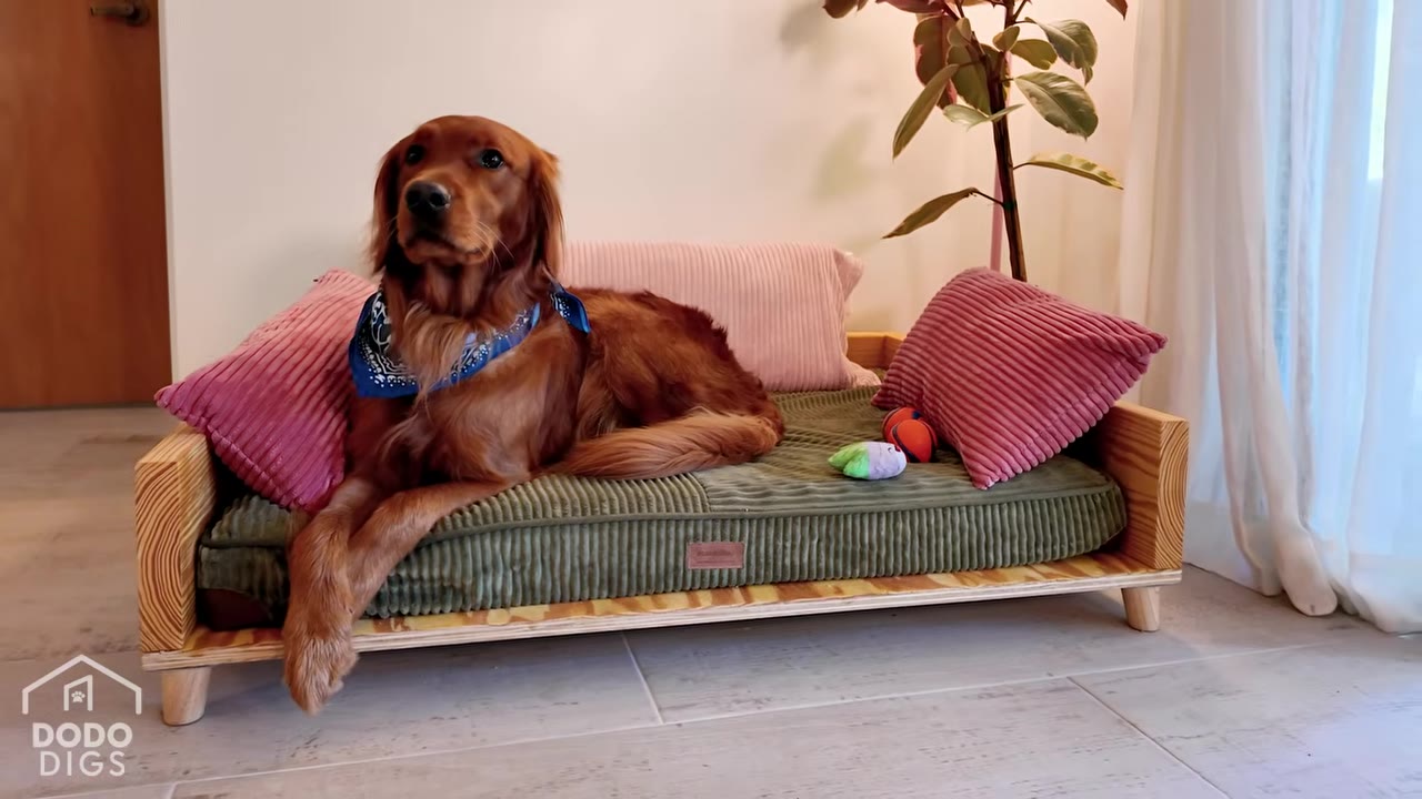 A golden retriever wearing a blue bandana lies on a custom-built miniature wooden dog bed with a green corduroy mattress and pink corduroy pillows.