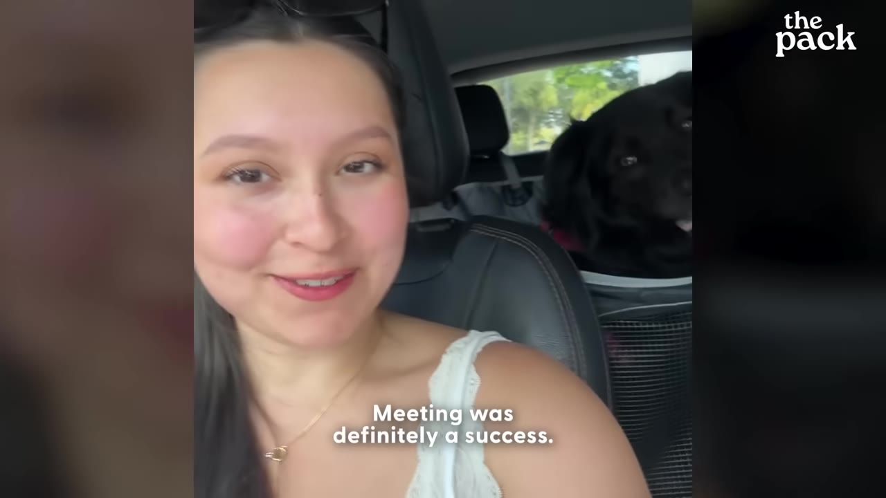 A woman smiles in the front seat of a car while a black dog sits in the back seat behind her.