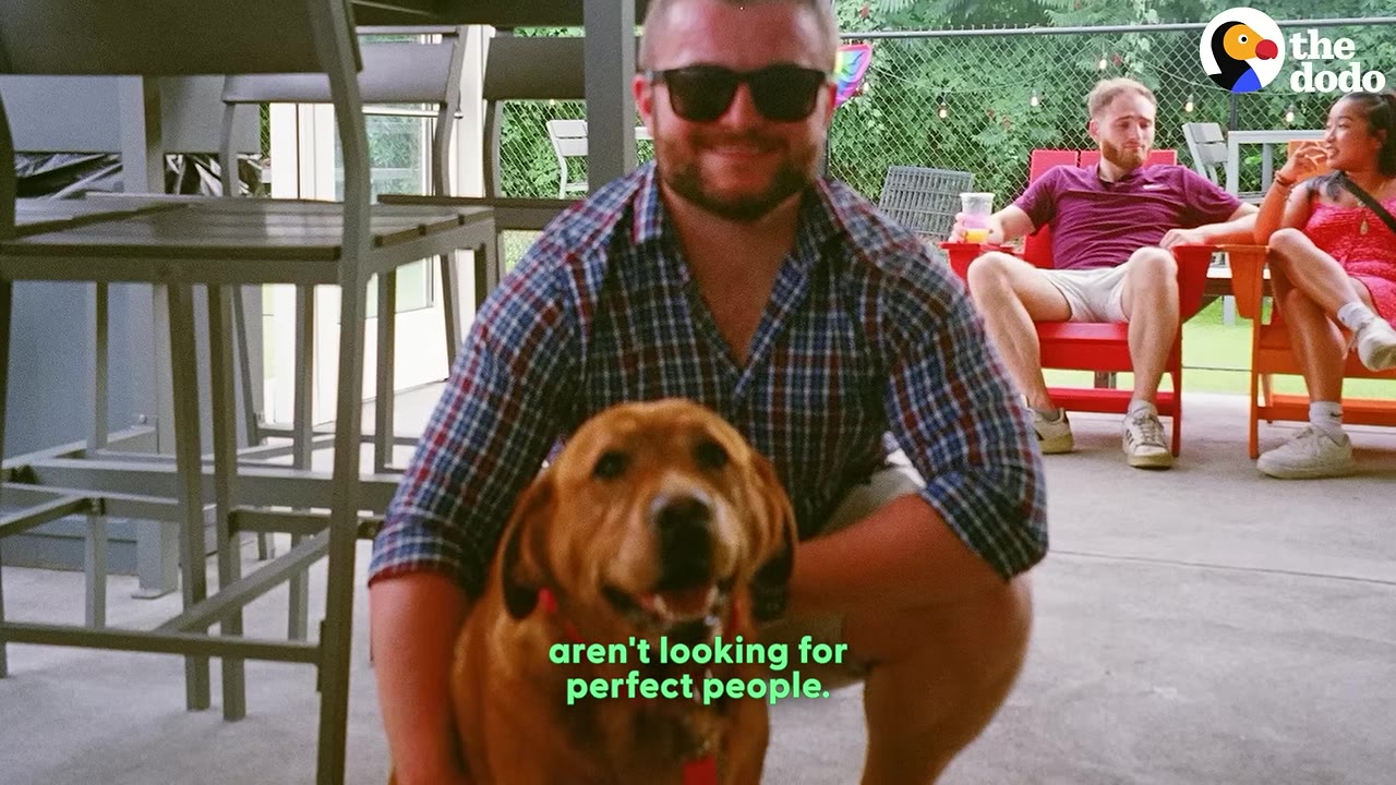 A happy brown dog sits with a smiling man wearing sunglasses on an outdoor patio, with other people relaxing in the background.