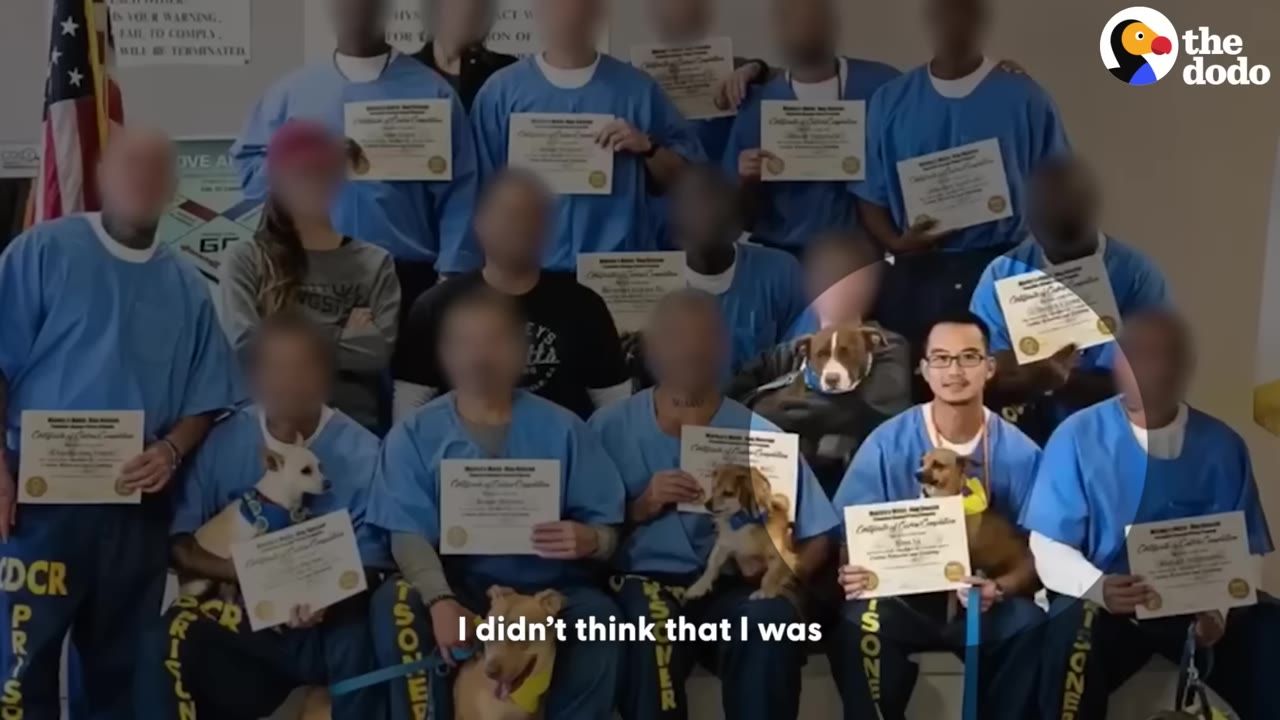 A group of incarcerated individuals in blue uniforms holding graduation certificates and posing with several dogs.