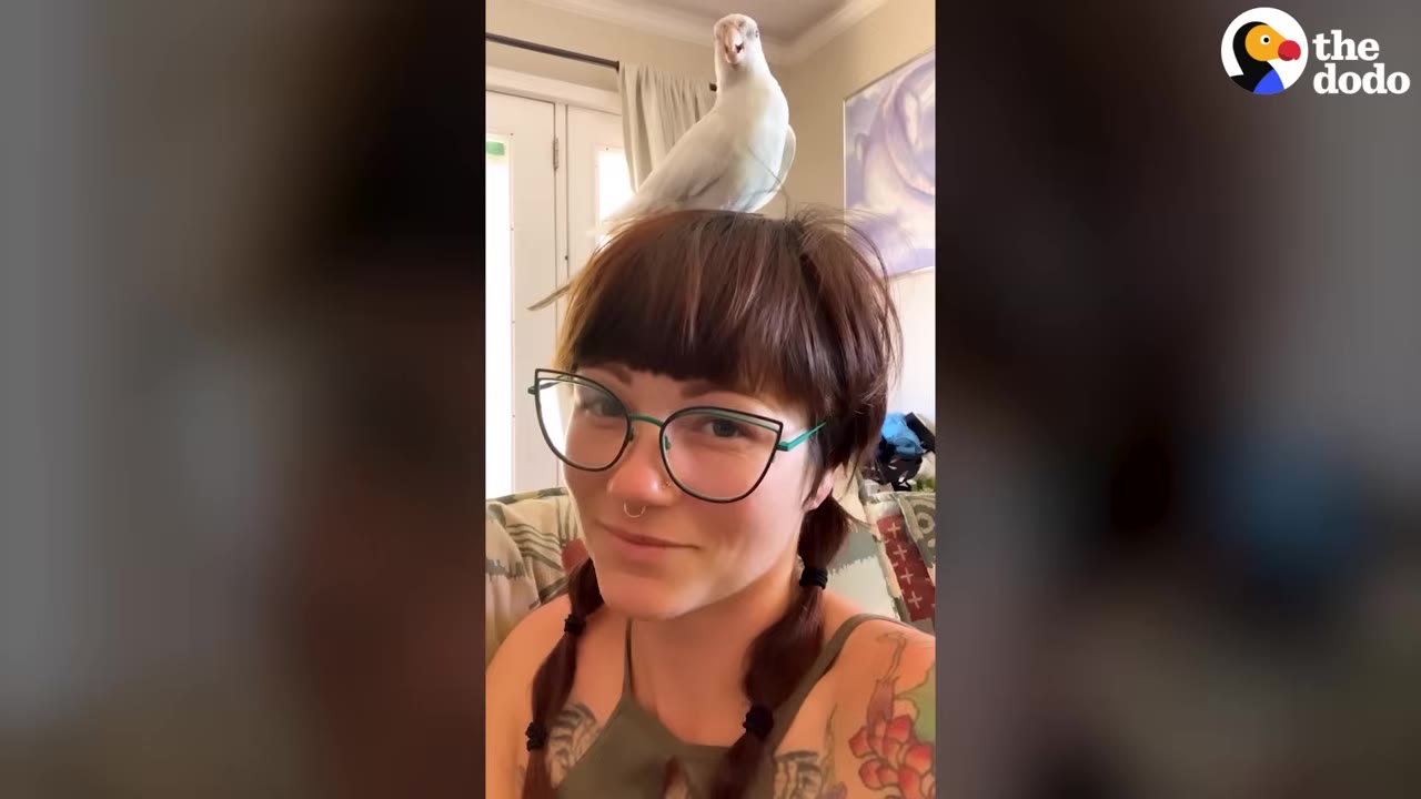 A smiling woman with glasses and braided hair has a white bird perched on top of her head.