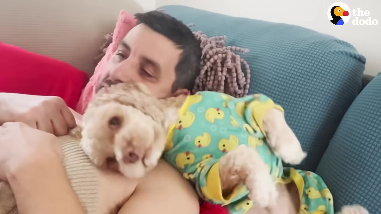 A man lies on a blue sofa with a small, light-colored dog wearing green pajamas with yellow ducks resting on his chest.