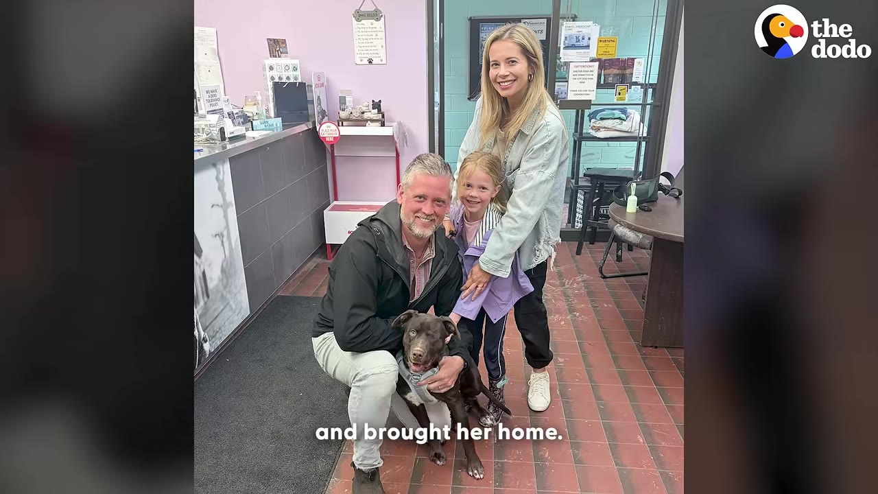 A smiling family of three poses with their newly adopted brown dog inside an animal shelter office.