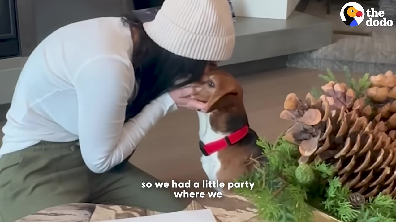 A woman wearing a white knit beanie leans down to gently hold and kiss a beagle wearing a red collar, with a white document visible in the foreground.