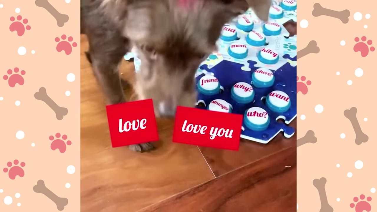 A brown dog stands next to a blue and white soundboard with buttons labeled with words like 'friend', 'why?', 'stranger', 'who?', 'want', and 'where', with red text boxes reading 'love' and 'love you' overlaid on the image.