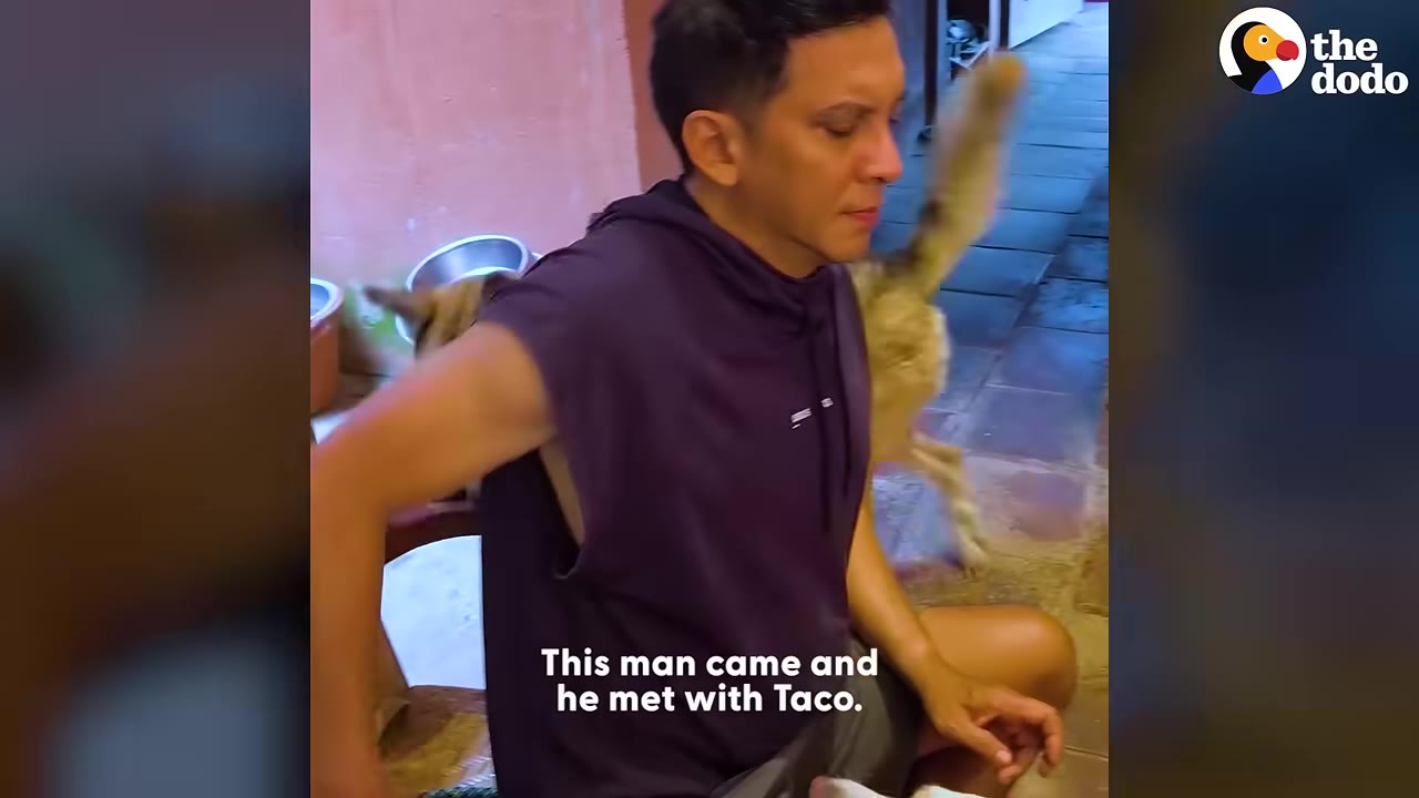 A man in a sleeveless purple hoodie sitting down as a dog stands behind him.