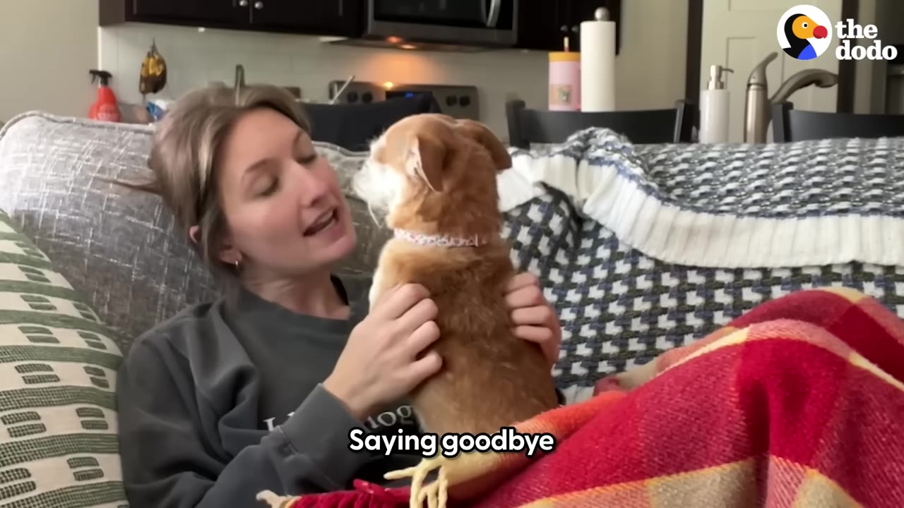 A woman sitting on a couch holding a small brown dog close to her chest, with the subtitle 'Saying goodbye' displayed at the bottom.