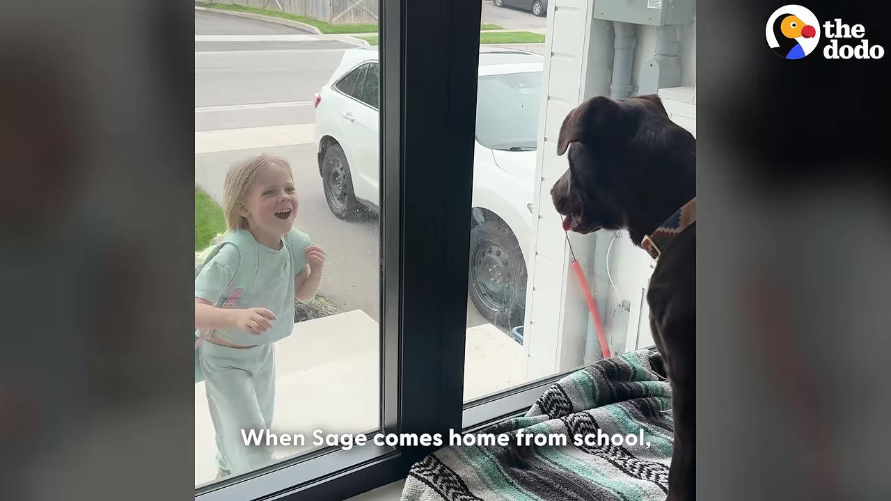 A young girl with a backpack smiles excitedly through a glass window at a dark brown dog waiting inside.