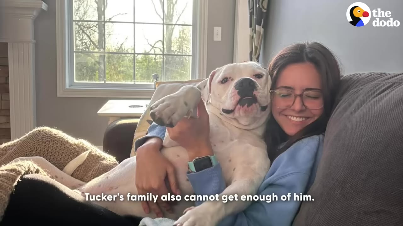A smiling woman with glasses cuddles a large white dog on a couch.